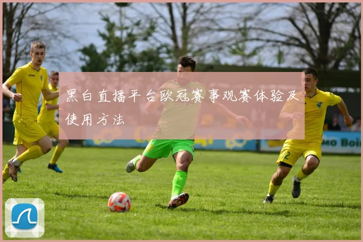 黑白直播平台欧冠赛事观赛体验及使用方法