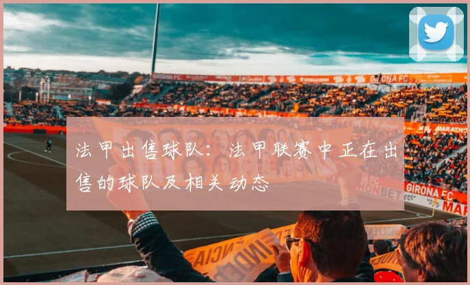 法甲出售球队：法甲联赛中正在出售的球队及相关动态