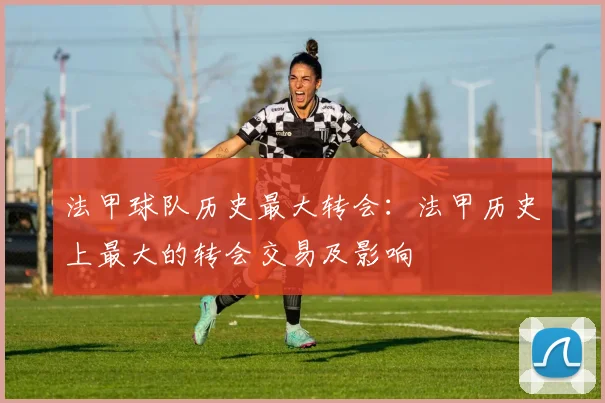 法甲球队历史最大转会：法甲历史上最大的转会交易及影响