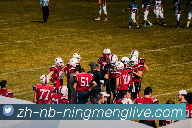 柠檬直播平台生态图